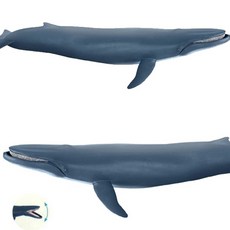 대왕고래장난감