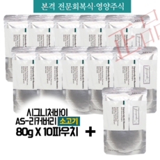 카니발tuon후석사양