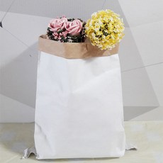 페이퍼백 종이포대 포대봉투 10장 고급종이봉투, 겉면 화이트, 미니(24+6x47)-20장