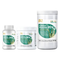 로얄캐네디언부스터