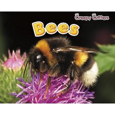 (영문도서) Bees Paperback, Raintree, English, 9781410948151