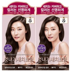 [본사직영] 려 우아채 멋내기 새치커버 한방염색약, 4N 짙은갈색, 2개