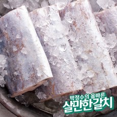 박정수의 올바른 살만한 토막갈치 900g 3set, 단일속성, 2개