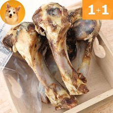 강아지수제간식보리스