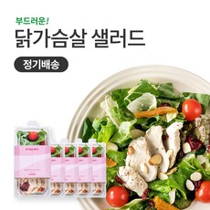 슬림쿡 [정기배송] 닭가슴살 오징어 샐러드 1일1식(5팩) X 1주