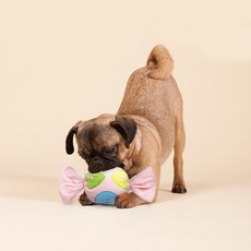 닥스훈트로봇인형