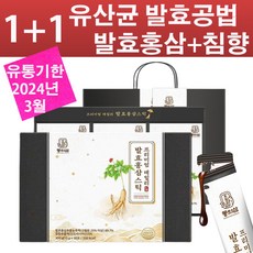 마임효본정