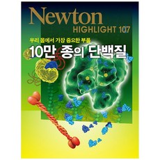 우드하이라이트