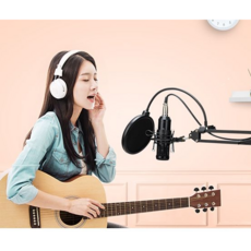 코시스탠드마이크