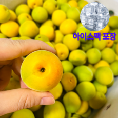 삼시세끼연구소 명품 광양 순천 홍매실 황매실 남고 매실 5kg 10kg