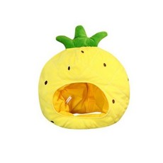 과일모자