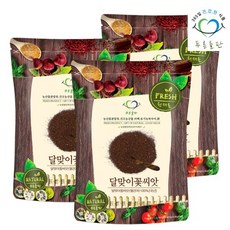 푸른들판 국내산 달맞이꽃 씨앗 100gx3 월견자 달맞이꽃종자, 상세 설명 참조, 3개, 1개입