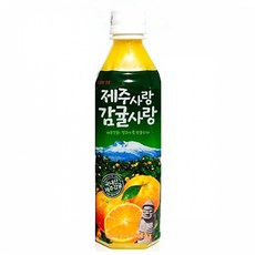 롯데 제주사랑 감귤사랑 500mlx24펫, 500ml, 24개