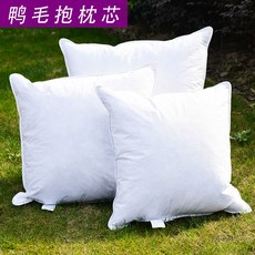 구스쿠션솜45