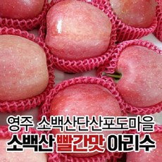 소백산탁주