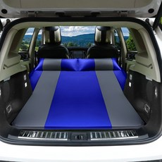 ev-500x