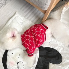 강아지옷뜨기