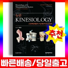 뉴만 kinesiology 키네시올로지 3판 근육뼈대계통의 기능해부학 및 운동학 책