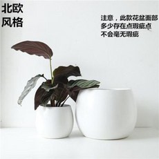 8e5d90414518a338137afaa9e17196e84f61c31ad746abeb191f795c29a0.jpeg
