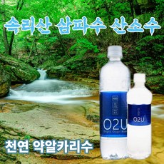 청정지역 속리산 약 알카리수 산소수 몸...