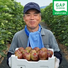 [산지직송] 무화과 영암무화과 홍무화과 GAP고당도