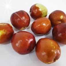 충북보은에서 자란 사과대추 보은생대추 [산지직송으로] 1kg, 사과대추 1kg 35~55과 내외