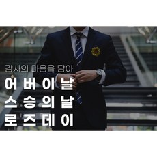 황금 카네이션 24k 어버이날 브로치