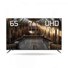 큐소닉65인치uhd비즈니스tv