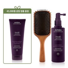 아베다브러쉬세트