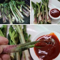 신선한 국산 강원도 두릅 풀두릅 겨울 땅두릅, 1박스, 1kg