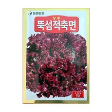 가을상추
