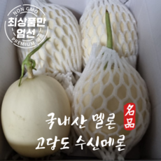 [농가직송] 고당도 수신멜론 천안수신 메론 3kg 5kg 특품(개당1.6kg)