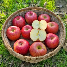 한정특가 주스용 가정용 사과 5kg~10kg, 1개, 가정용부사 3kg중과(10-13)
