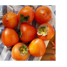 달콤부드러운 대봉감 홍시 프리미엄 1kg (연시용), ONE COLOR, ONE SIZE