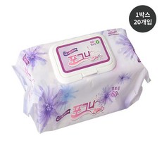 제이케이유통 포그니 엠보싱 빅사이즈 물티슈 캡형 60매 X 20개 1박스, 단일옵션