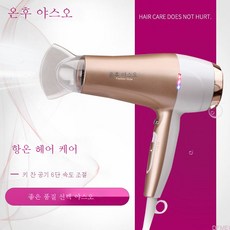 이온드라이기