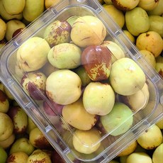 팔도밭상 2021년 햇 사과 보은 대추 1kg 2kg, 2kg혼합
