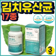 유당불내증아기베지밀