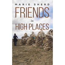 (영문도서) Friends in High Places Paperback, Austin Macauley, English, 9781398411715