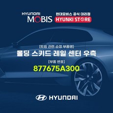 현대모비스 몰딩 스키드 레일 센터 우측 (877675A300)
