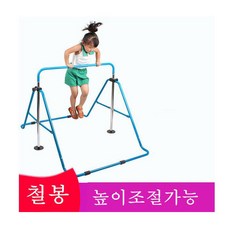 유아 철봉 스포츠완구 가정용 어린이 장난감 운동기구, 그네봉