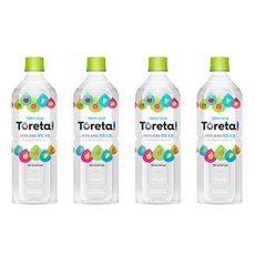토레타 900ml x 12펫