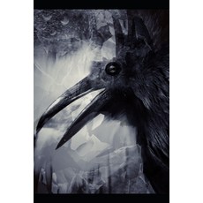 Harab Serapel; Ravens Of The Burning God Paperback, Independently Published