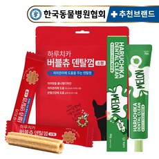 펫생각 하루치카 바르는 입냄새 치석 제거 강아지 치약 메론 덴탈껌 세트, 소형, 1개 - 펫생각하루치카