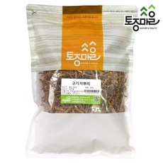 구기자나무 TOP01