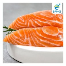 은하수산생연어