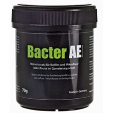 Bacter AE 슬라웨시 관상용 새우 미생물막 70g, 1개