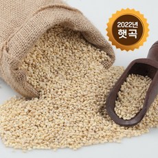 2022년서리태