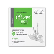 웰화이버 포르테 차전자피 식이섬유 1박스, 360g, 1개