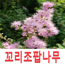 c6836f249b2f1d82d7d7ce648cc7bb66b58147adf2b14d42efaee0ba0446.png